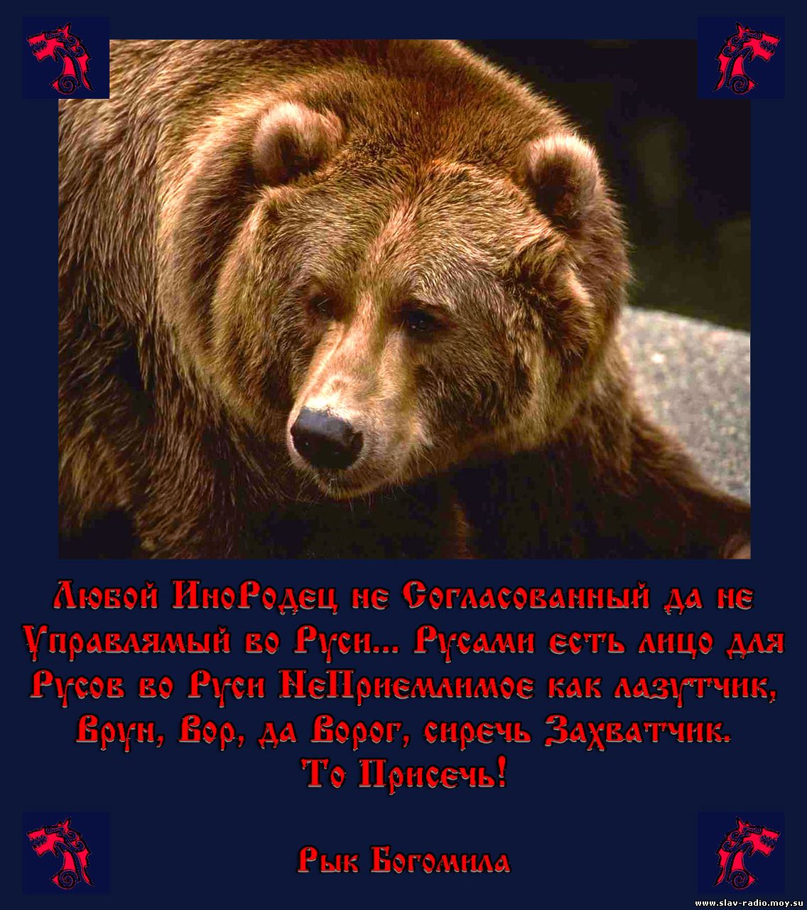 Неофициальный символ россии медведь. Медведь символ России. Бурый медведь символ России. Неофициальные символы России медведь. Медведь России для детей.